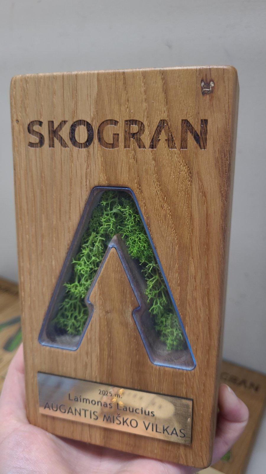 Custom Logo Trophy A030 - Image 10