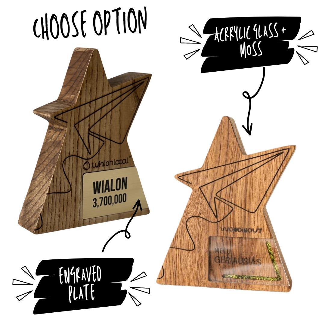 Airplane Trophy A044 - Image 5