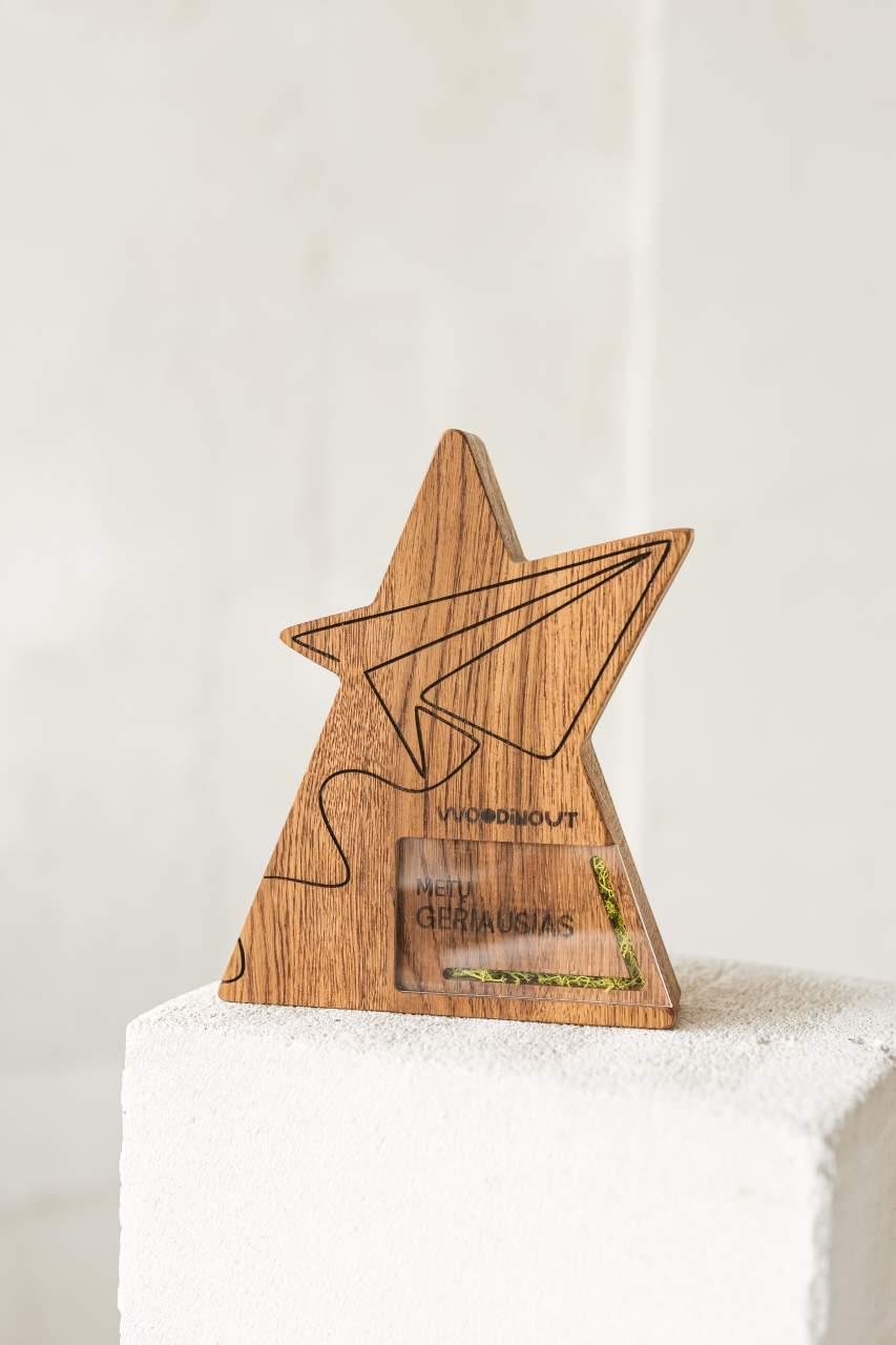 Airplane Trophy A044