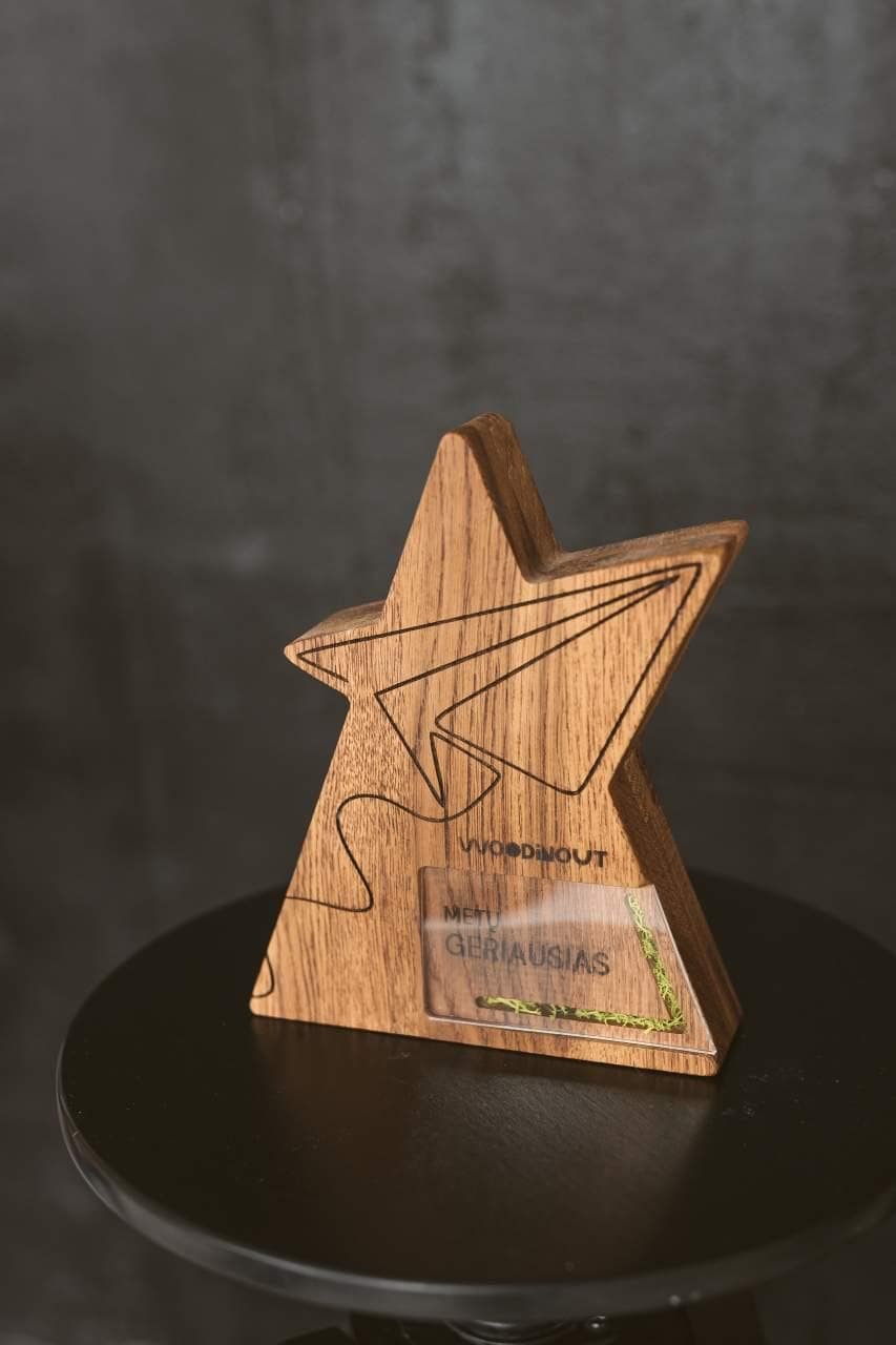 Airplane Trophy A044 - Image 11