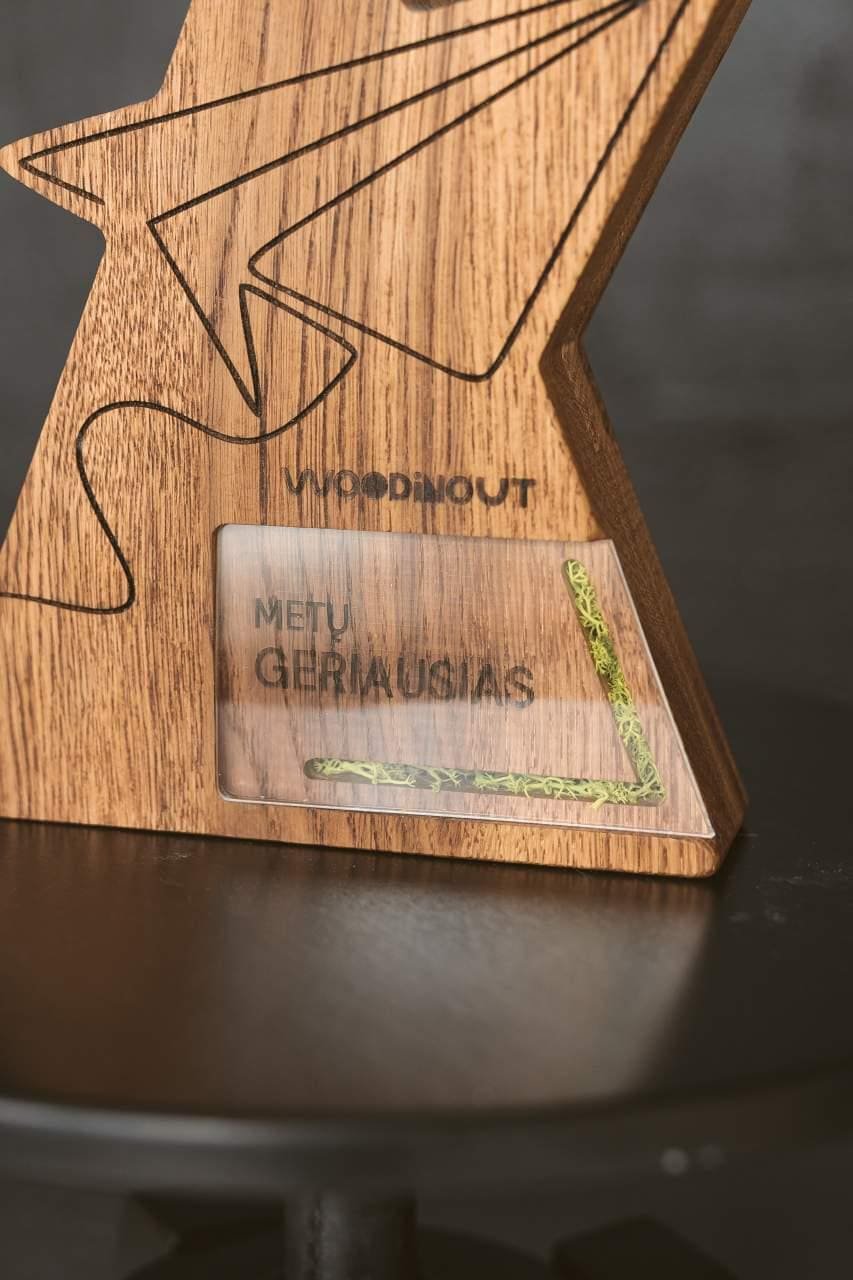 Airplane Trophy A044 - Image 12