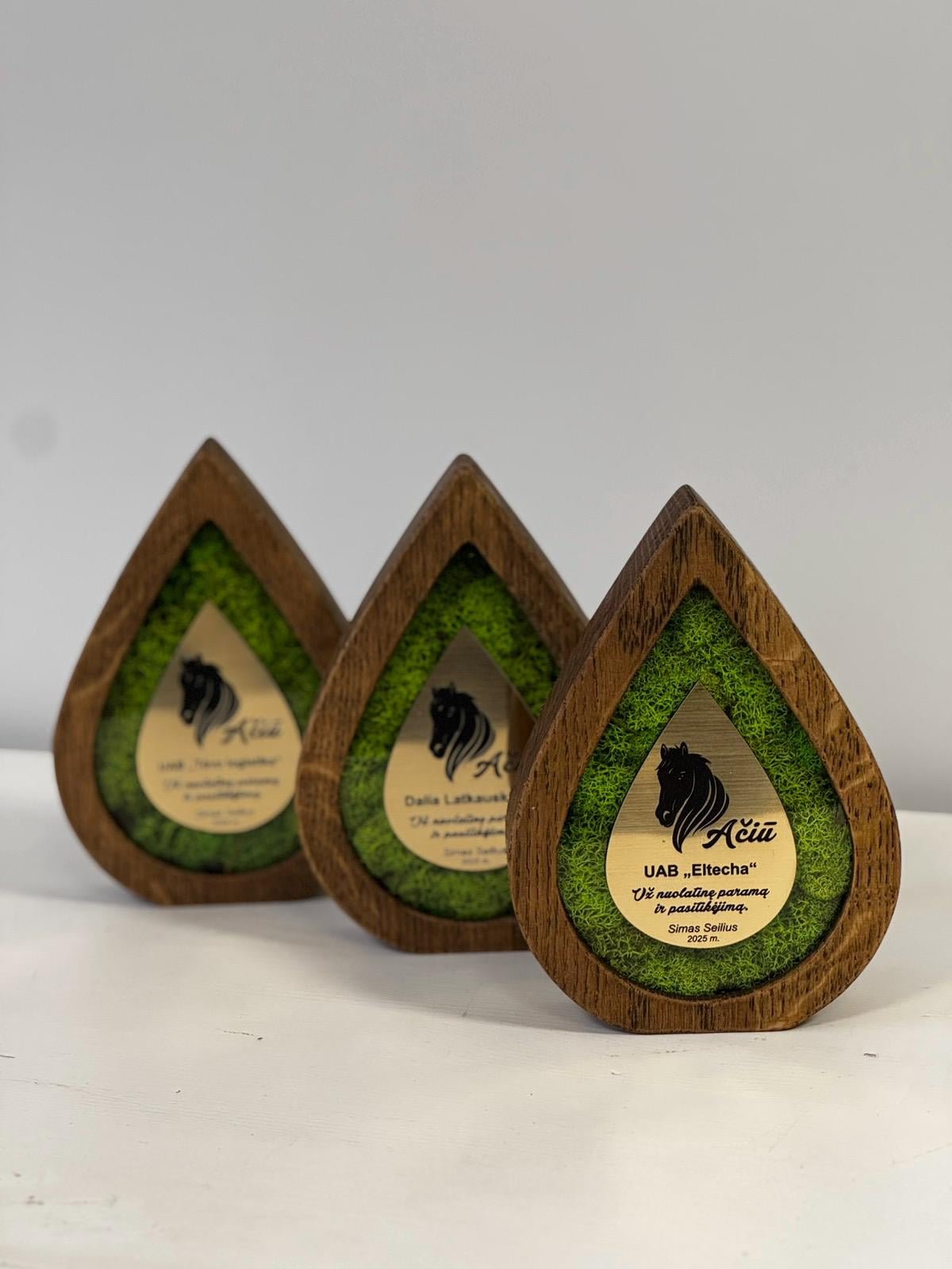 Custom award A056 - Image 12