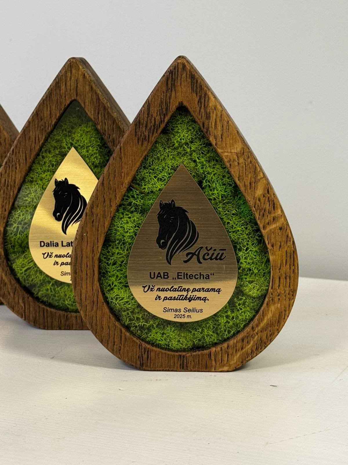 Custom award A056 - Image 6