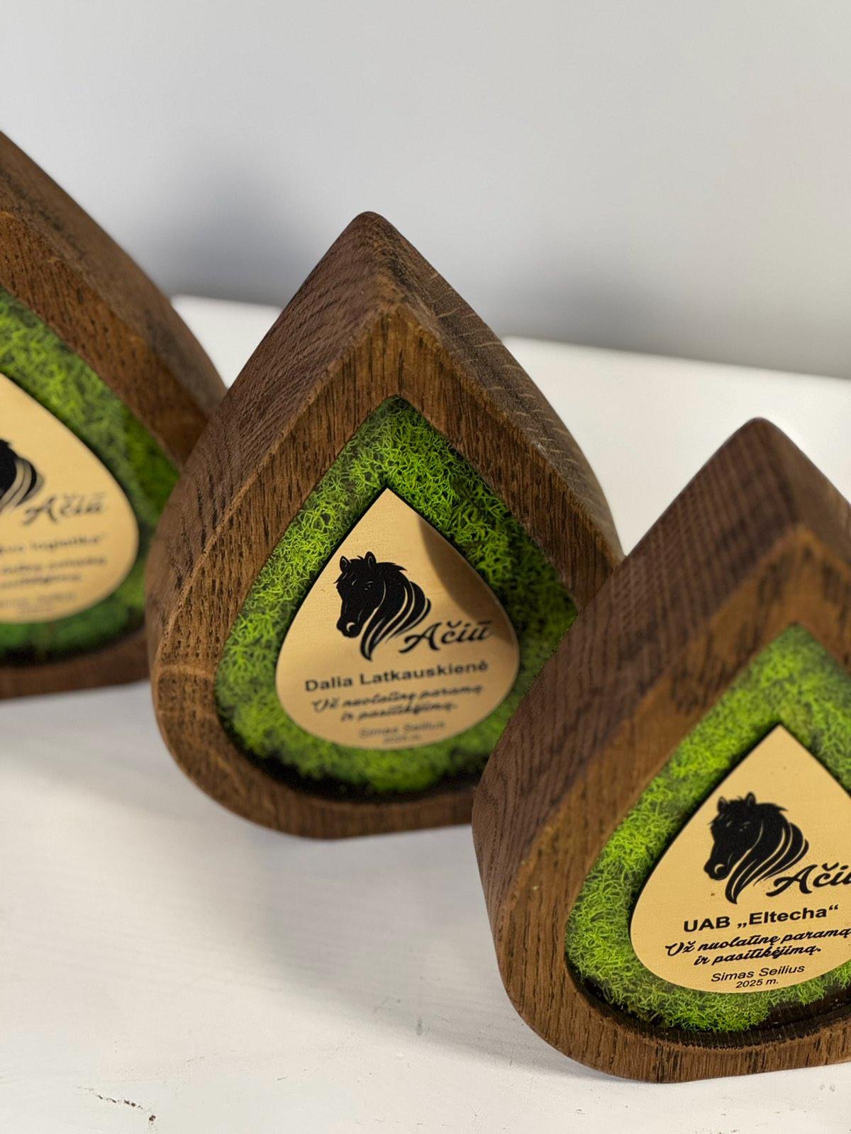 Custom award A056 - Image 7