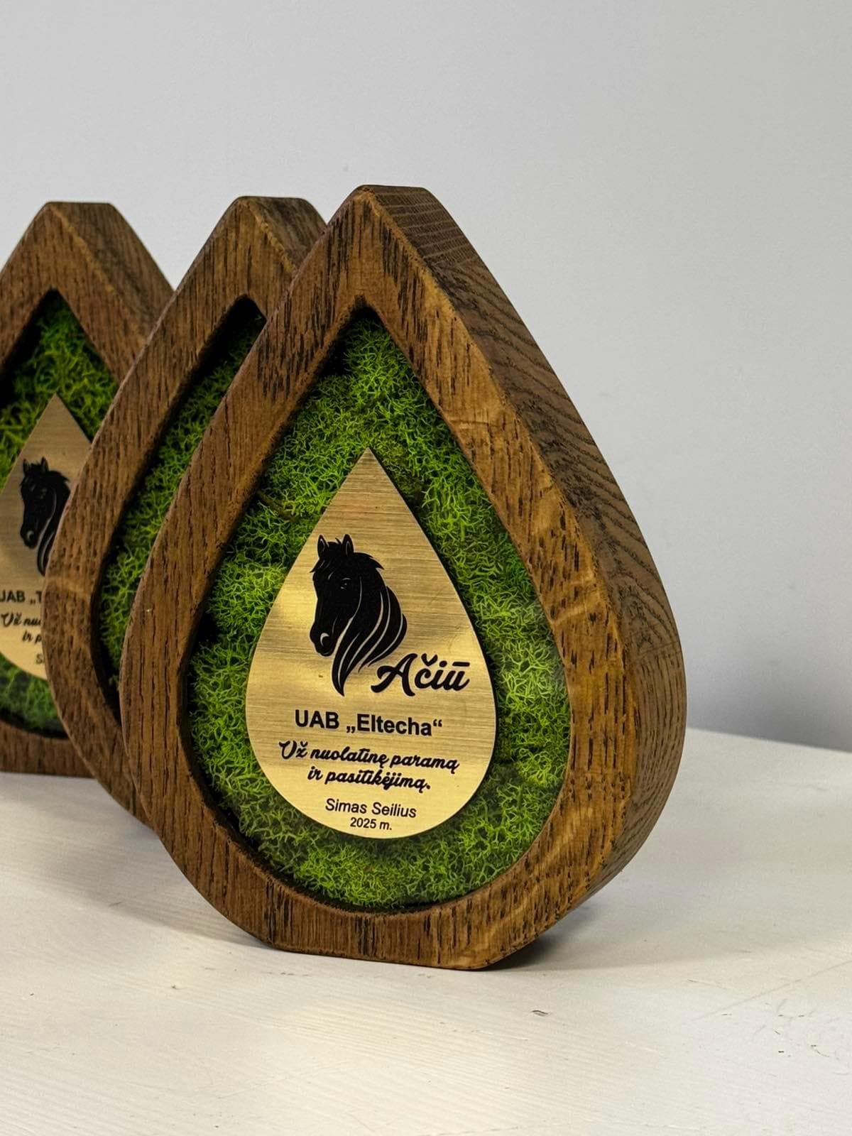 Custom award A056 - Image 5