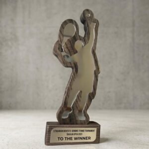 https://trophies123.co.uk/wp-content/uploads/2026/03/a066-modern-crystal-cheer-choice-awards-300x300.jpg
