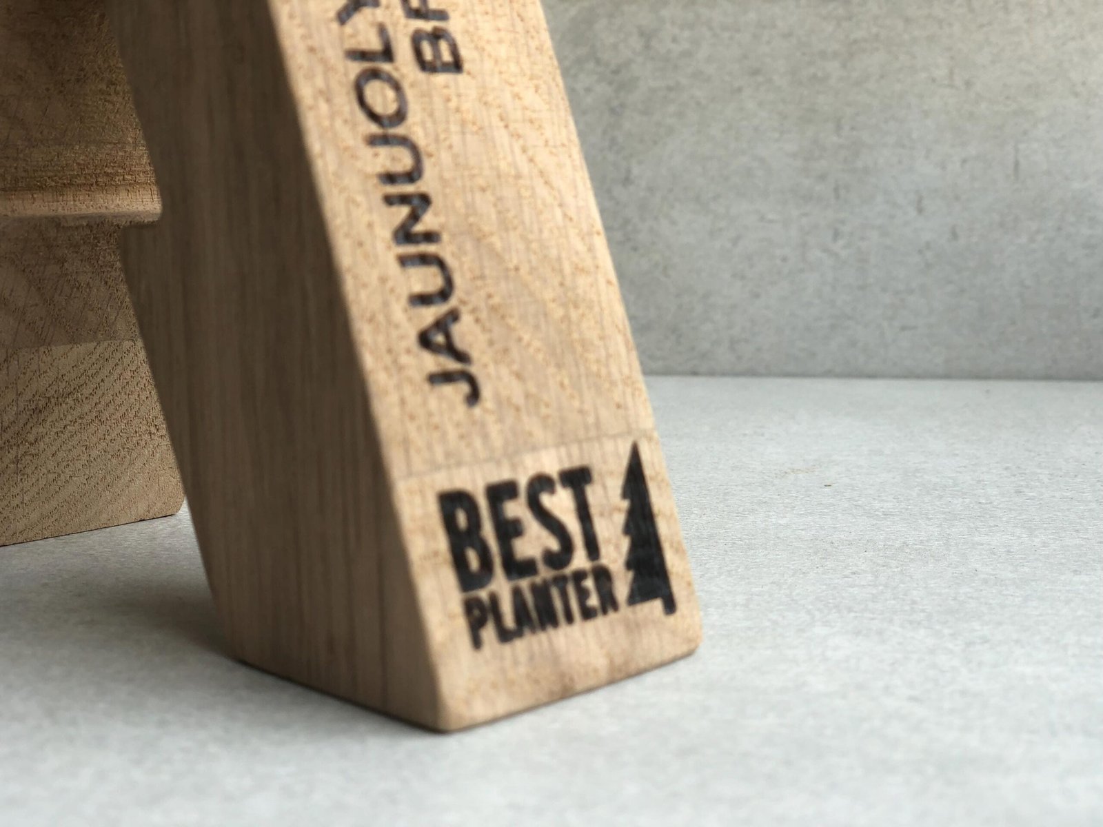 Custom Wood Achievement Award Letter A078 - Image 8